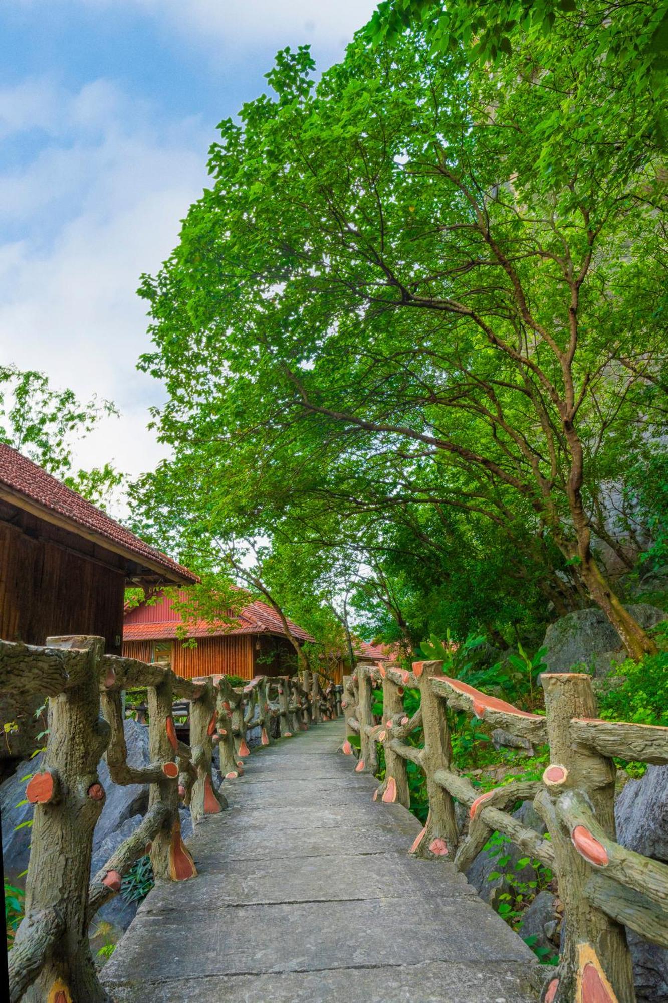 Lotus Field Homestay Ninh Binh Bagian luar foto
