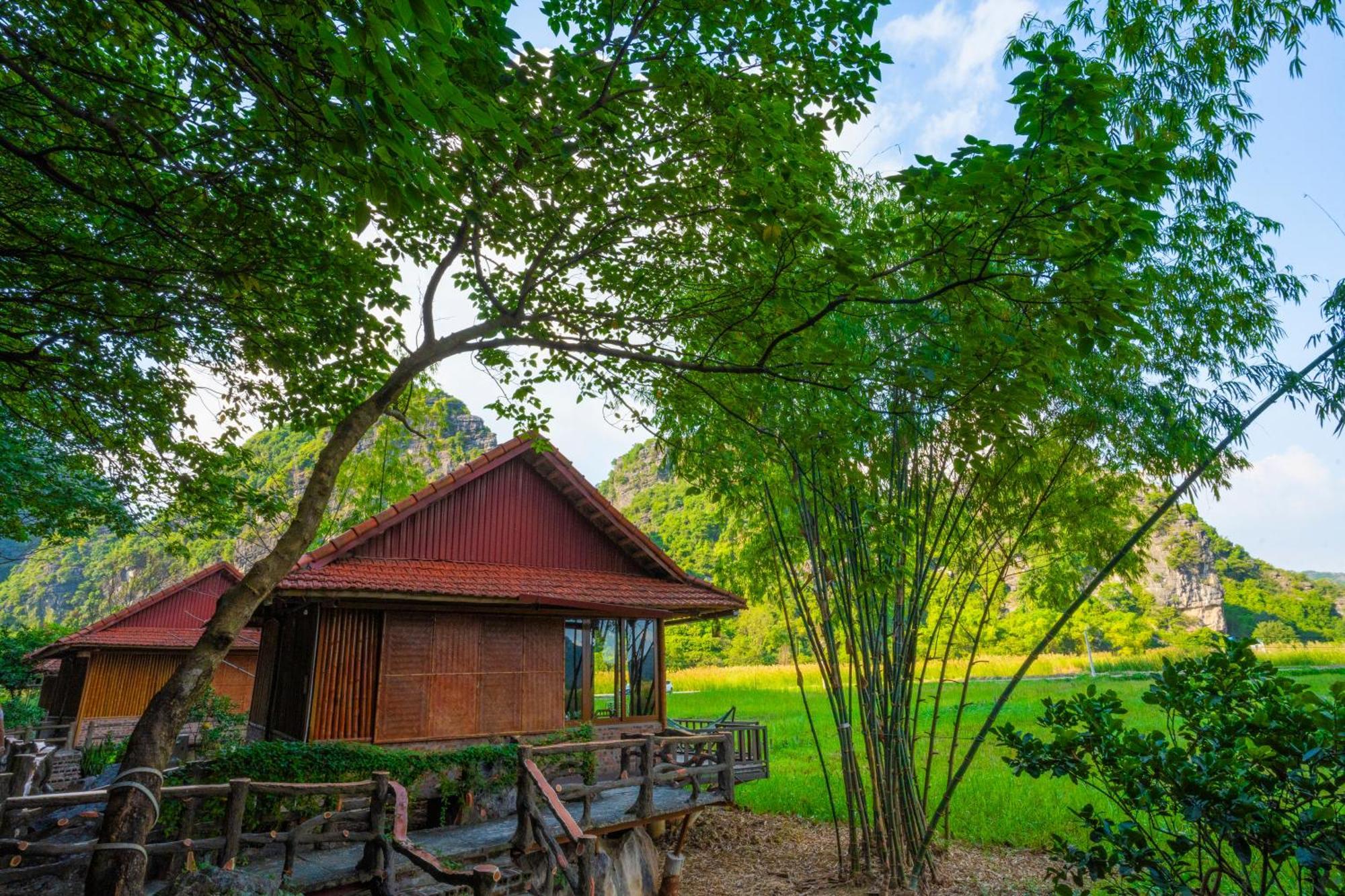 Lotus Field Homestay Ninh Binh Bagian luar foto